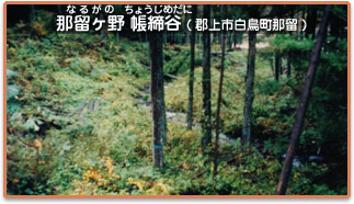 那留ヶ野 帳締谷(郡上市白鳥帳那留)