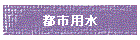 ssp