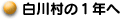 쑺̂PN