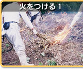 �΂�����1