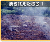 �Ă��I�����l�q1