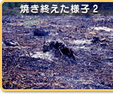 �Ă��I�����l�q2