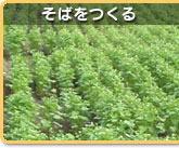 ���΂�����