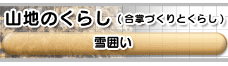 Rn̂炵@͂