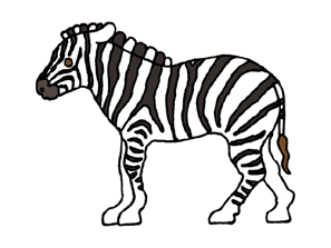 ܂